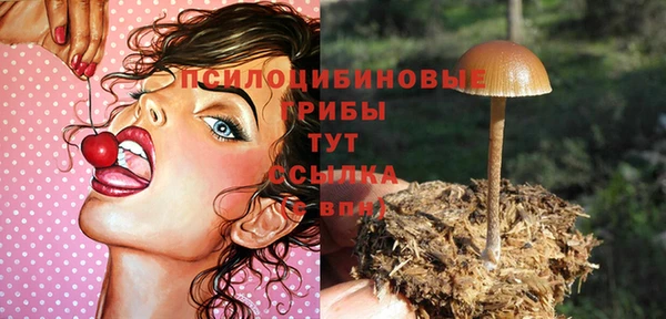 не бодяженный Краснотурьинск