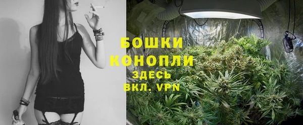 спайс Ладушкин
